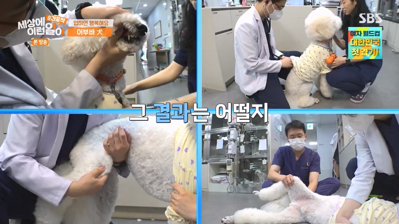 순간포착 세상에 이런일이.E1238.230723p-NEXT.mp4_20230724_205442.728.jpg