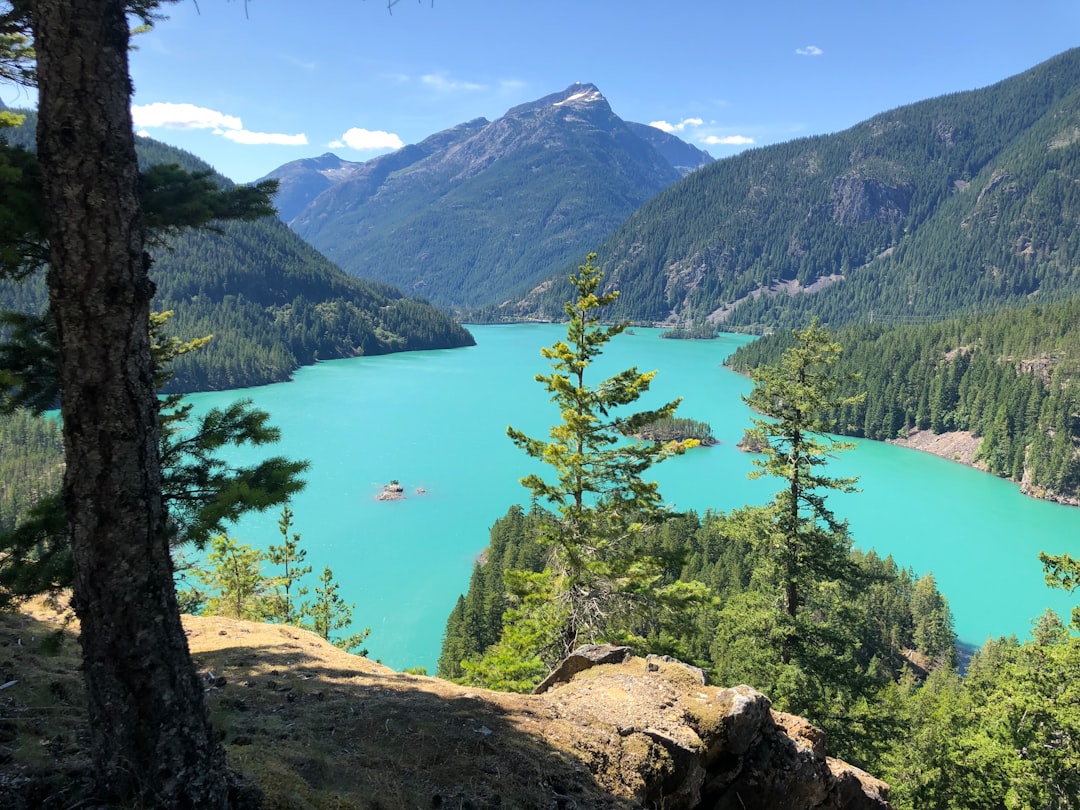 Viewpoint