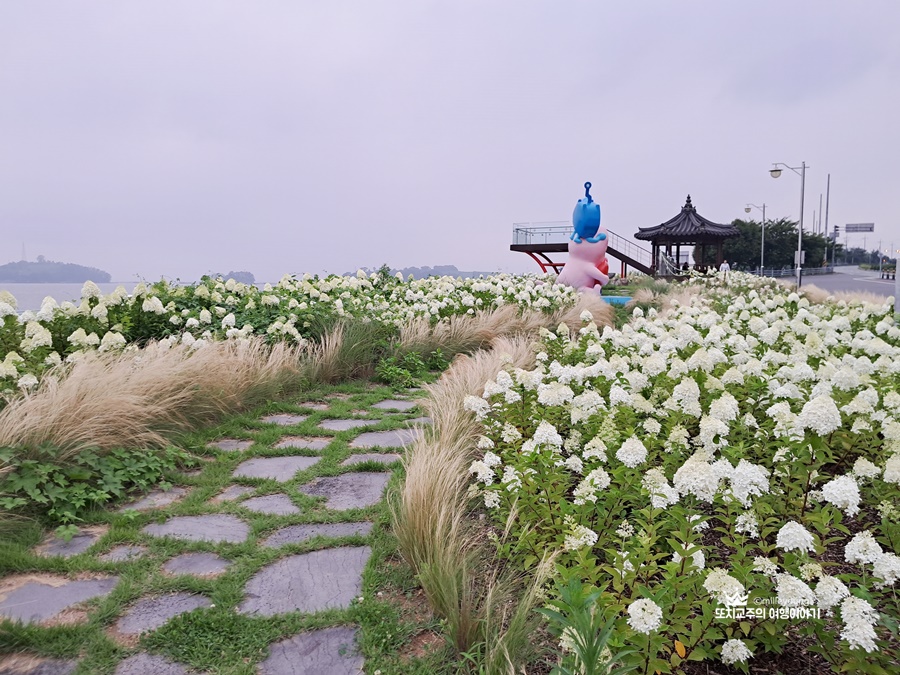 하얀 수국꽃과 갈대가 있는 정원