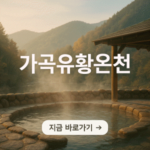 가평 레일바이크 예약 홈페이지