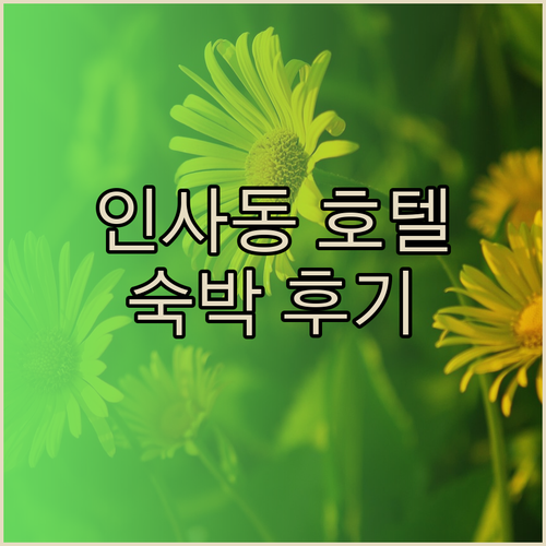 인사동 나인트리 호텔 숙박 후기 위치