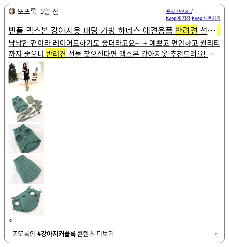 반려견 커플룩_2_subsection