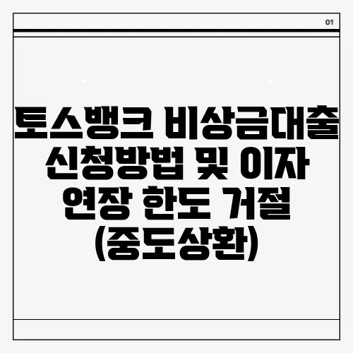 토스뱅크 비상금대출 신청방법 및 이자 연장 한도 거절 (중도상환)