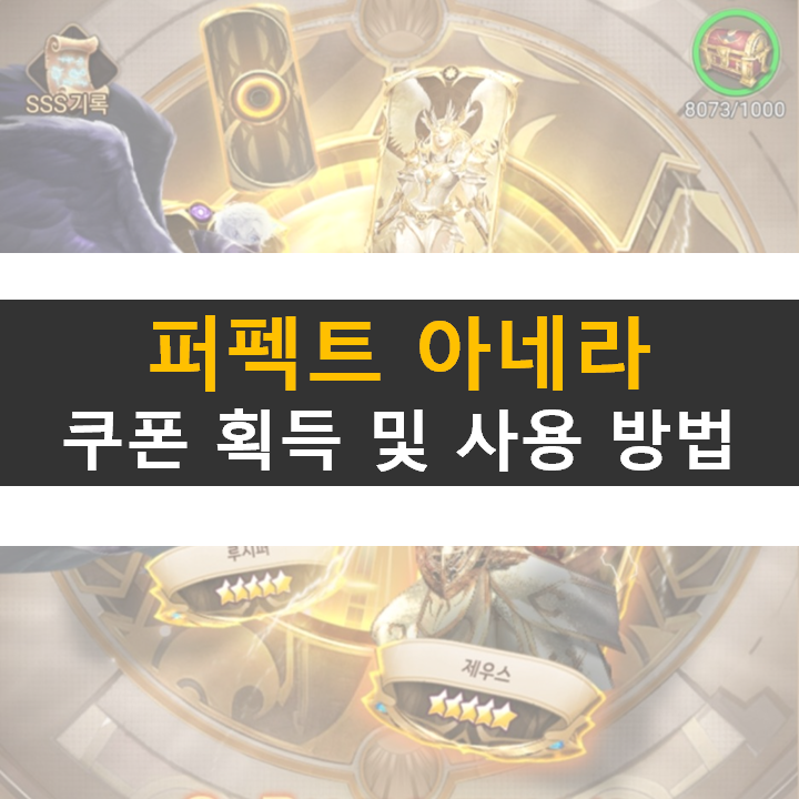  퍼펙트 아레나 쿠폰 획득 및 사용 방법
