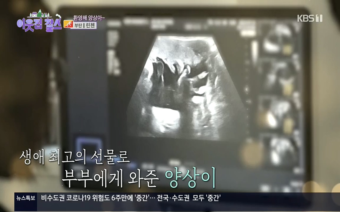 이웃집 찰스.E354.220914p.H264-F1RST.mp4_20220914_205551.433.jpg