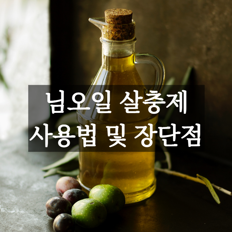 님오일 살충제 사용법&#44; 님오일 살충제의 장점 및 단점&#44; 작용 원리&#44; 퇴치 가능한 해충&#44; 만드는 방법&#44; 사용시 주의사항