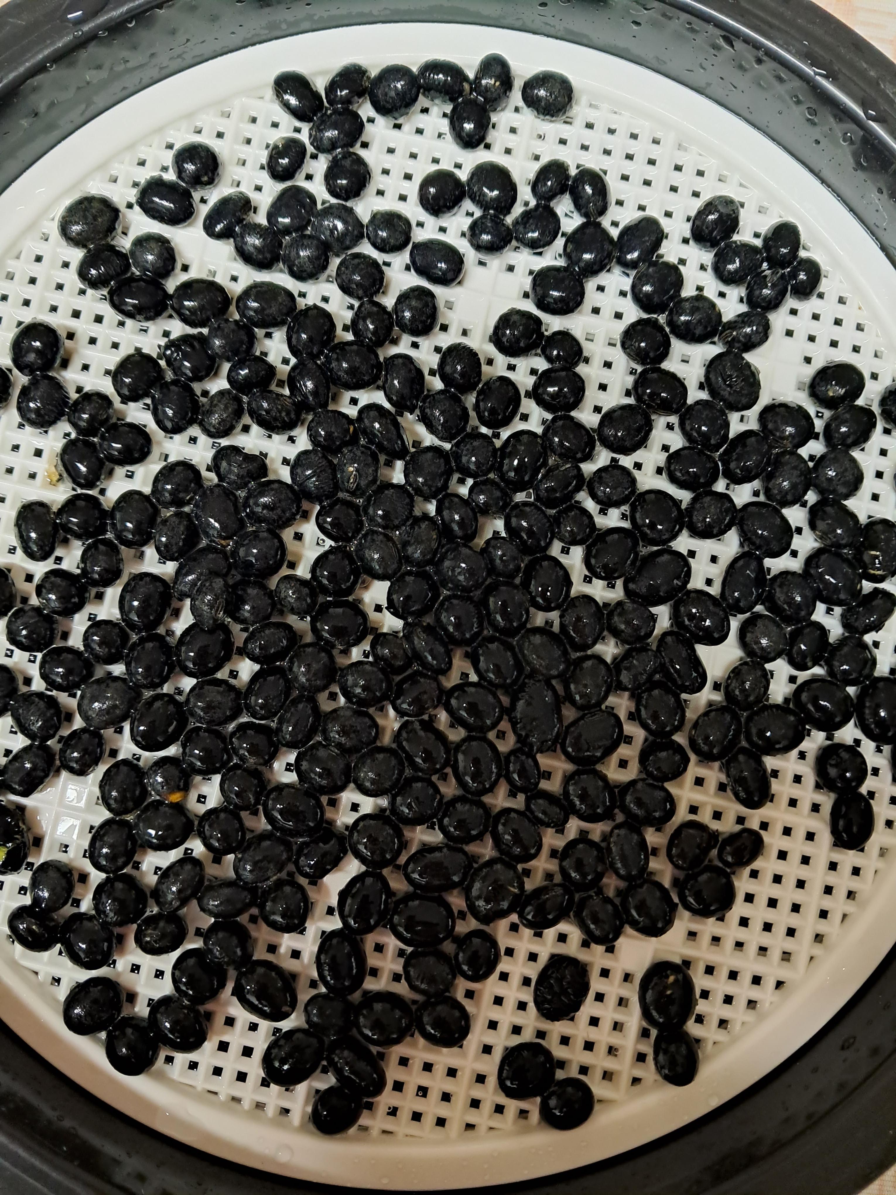  오늘부터