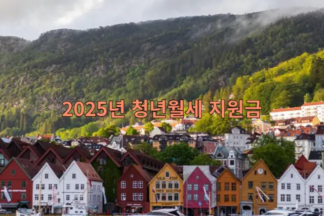 2025년 청년월세 지원금 관련 이미지