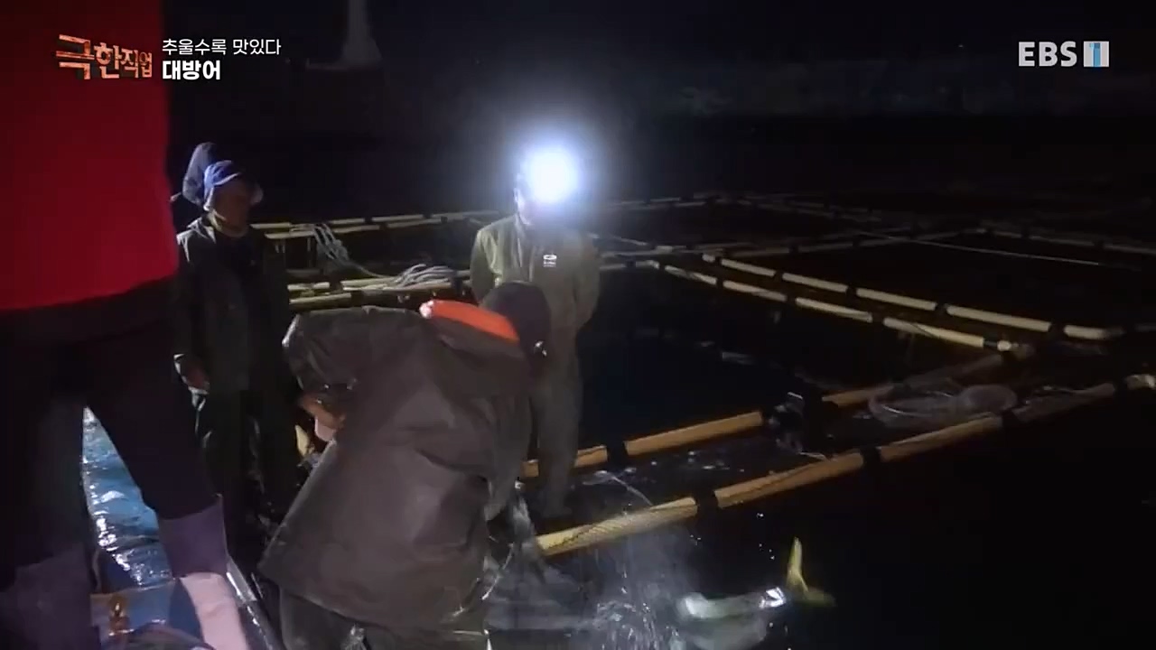 [극한직업] 추울수록 맛있다 장(長)마와 대방어.E734.221218p-NEXT.mp4_20221219_193417.178.jpg