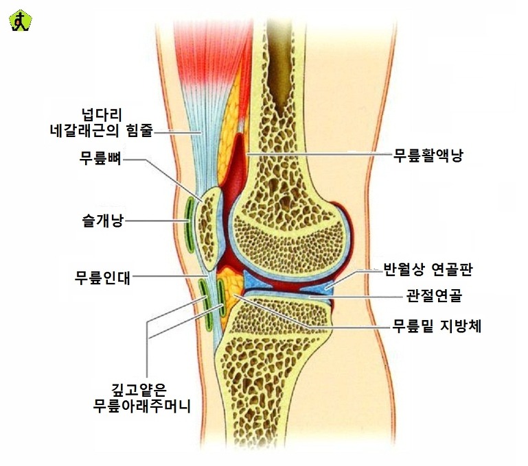 핸즈온의 강도는 5