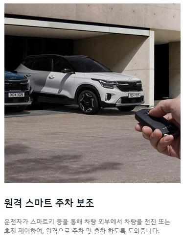 원격 스마트 주차