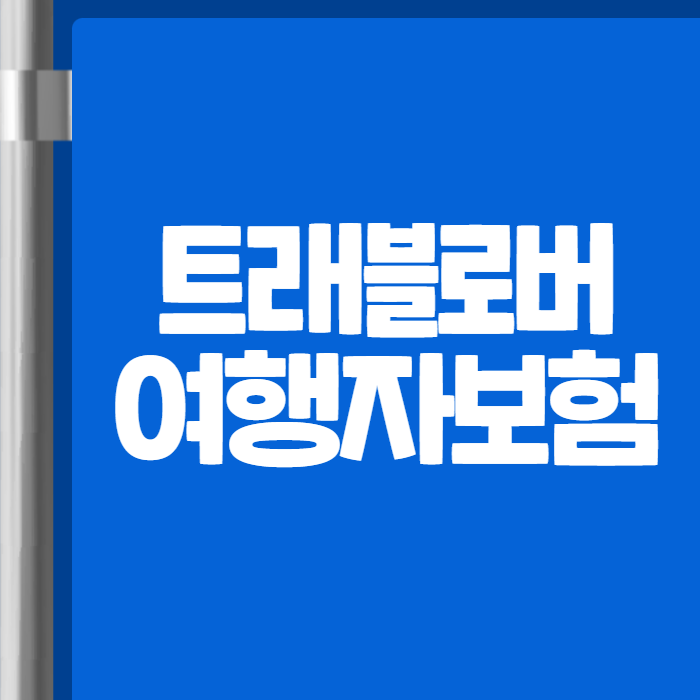 트래블로버 여행자보험