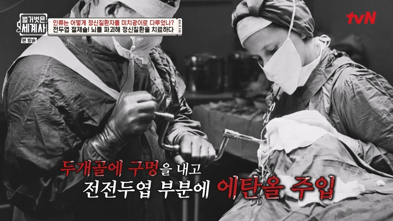 벌거벗은 세계사.E122.231025p-NEXT.mp4_20240525_170409.215.jpg