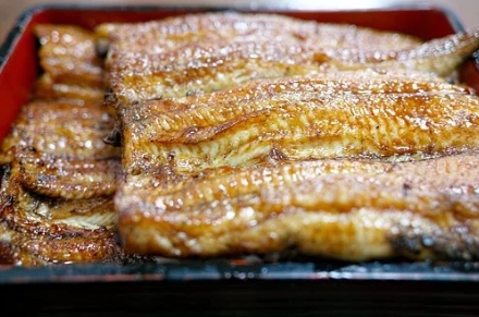 안구건조증 증상 치료 원인 좋은음식 찜질-35 안구건조증 증상 치료 원인 좋은음식 찜질-35