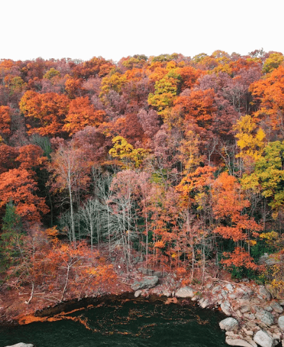 전국-단풍-지도-명소