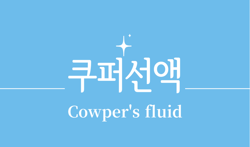 '쿠퍼선액(Cowper's fluid)'