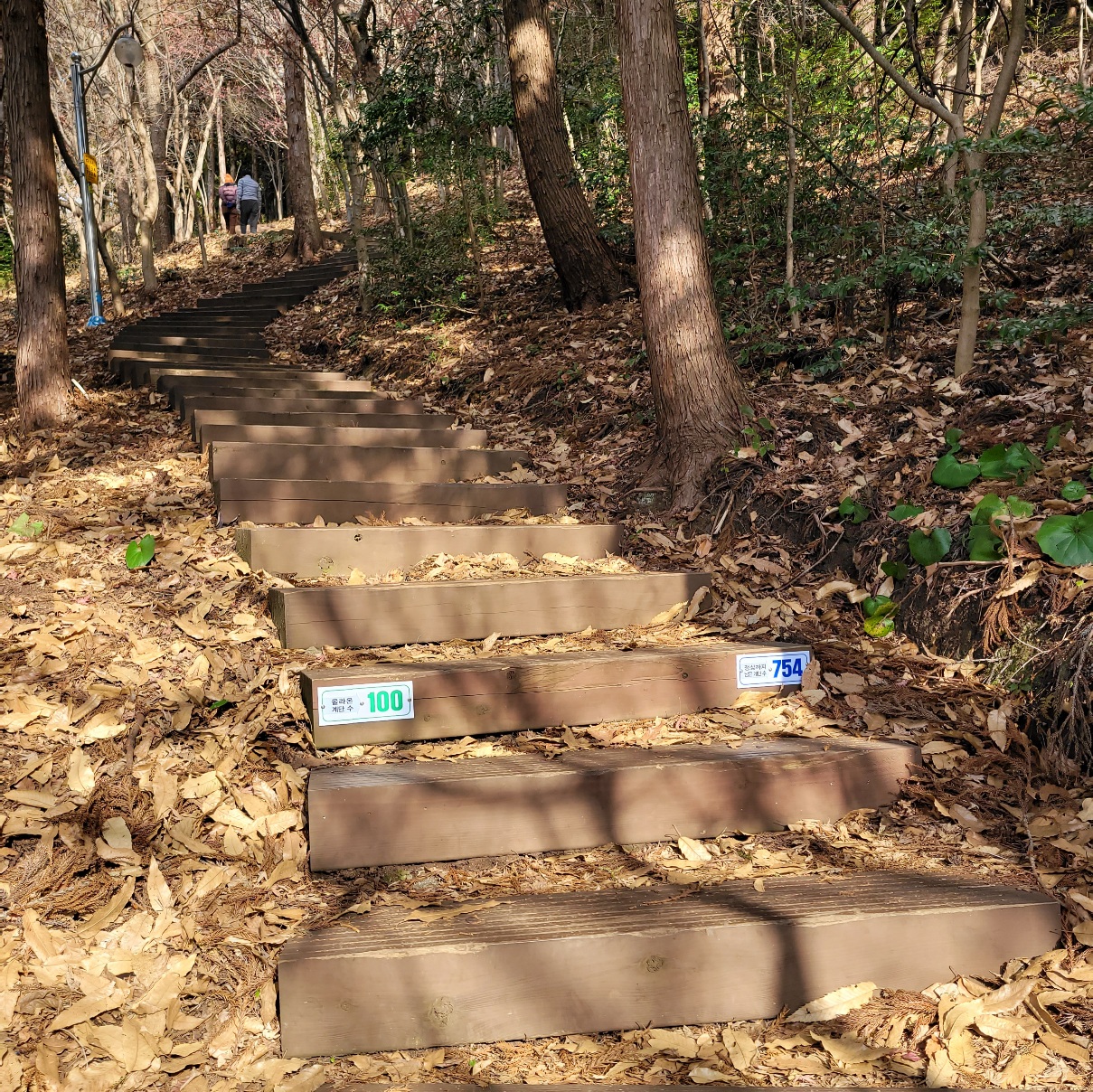 제주도 서귀포시 오름 고근산