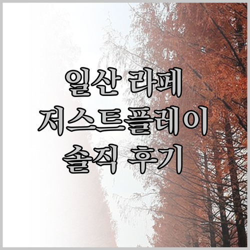 일산 '저스트플레이 라페스타점', 솔