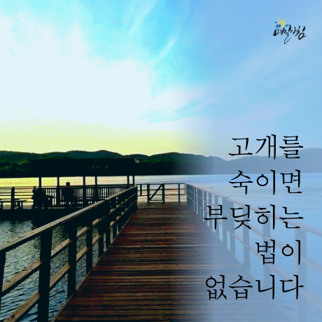  [매일아침좋은글] 고개를 숙이면 부딪히는 법이 없습니다