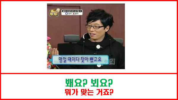 봬요? 뵈요?