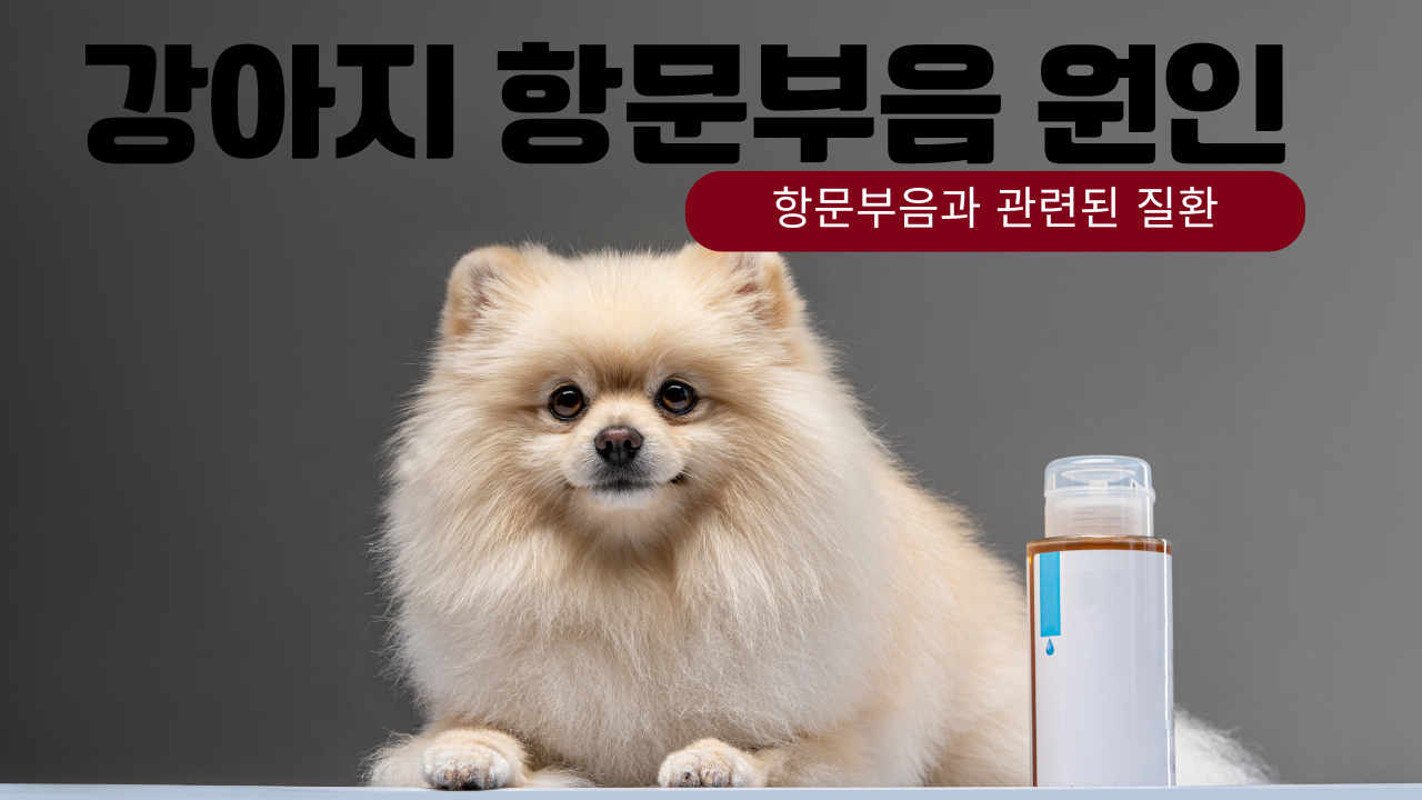 강아지 항문부음 썸네일