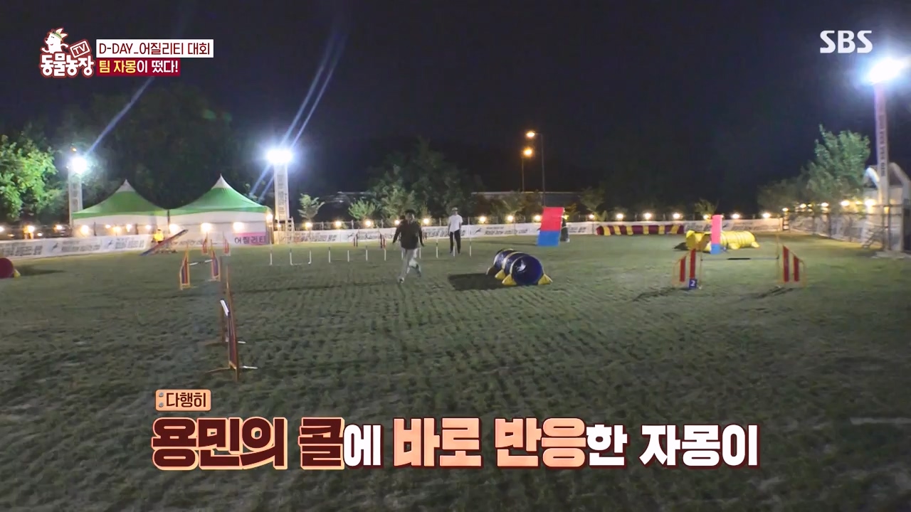 TV 동물농장.E1135.230828p-NEXT.mp4_20230827_180814.904.jpg