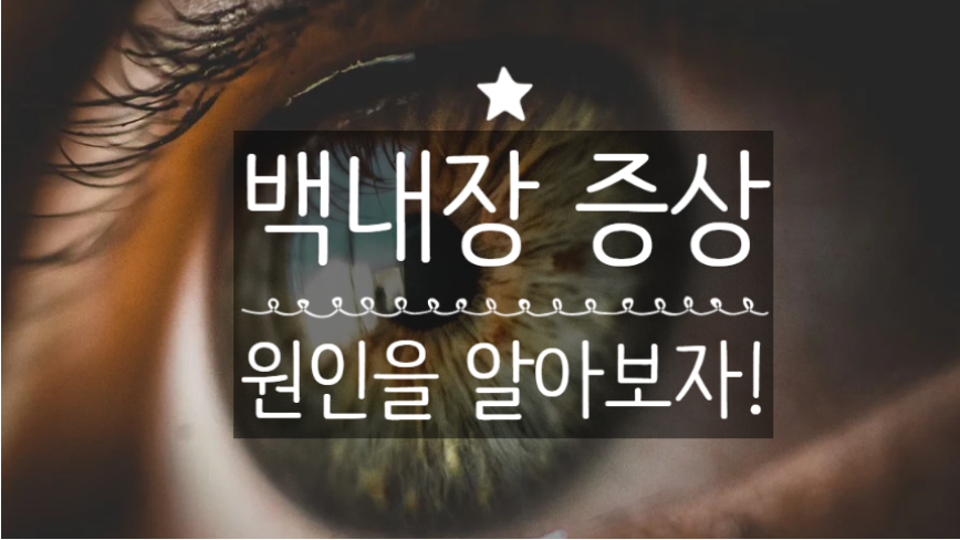  백내장 초기증상과 2가지 원인 그리고 백내장 수술 방법을 알아보자!