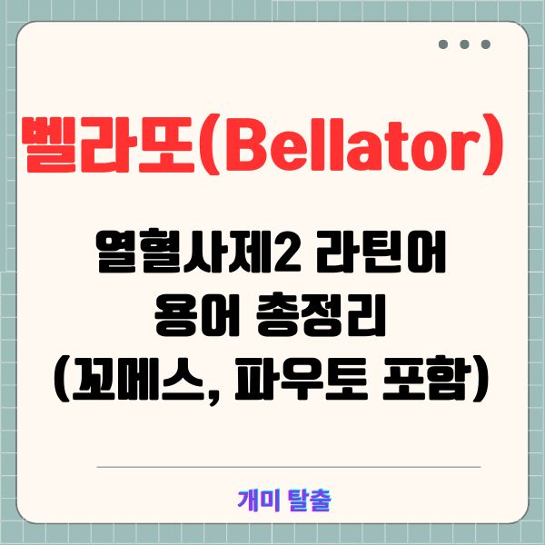 벨라또(Bellator) 뜻: 열혈사제2 라틴어 용어 총정리 (꼬메스, 파우토 포함)