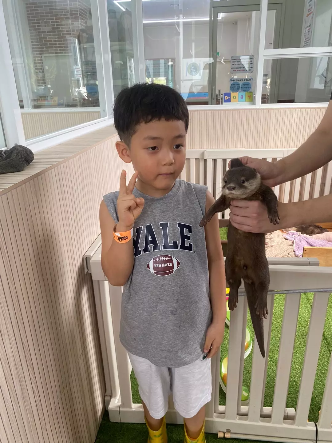 수달먹이