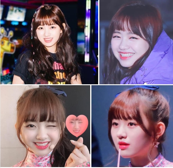 카토 코코로