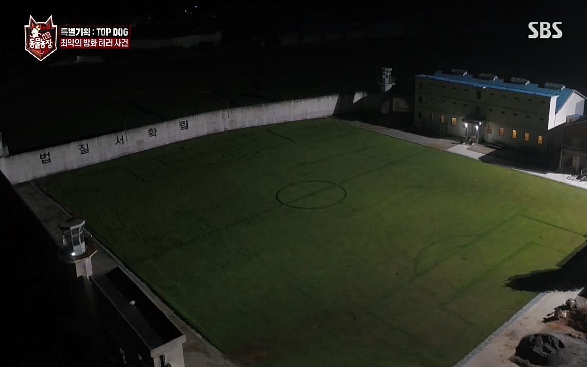 TV 동물농장.E1085.220905p-NEXT.mp4_20220904_173541.868.jpg