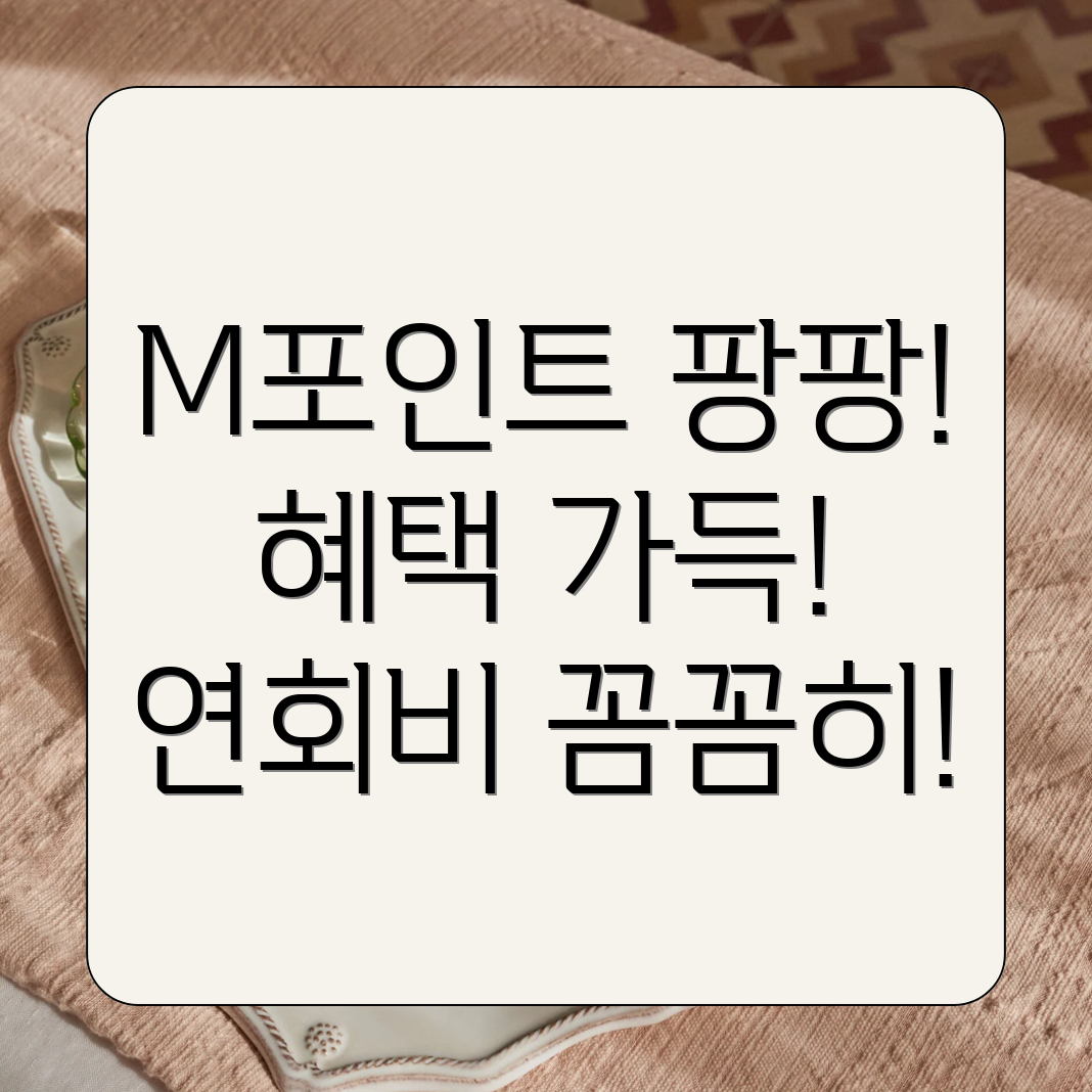 현대카드 M 부스트