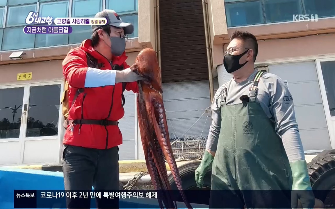 6시 내고향.E7512.220416p.H264-F1RST.mp4_20220502_194145.118.jpg