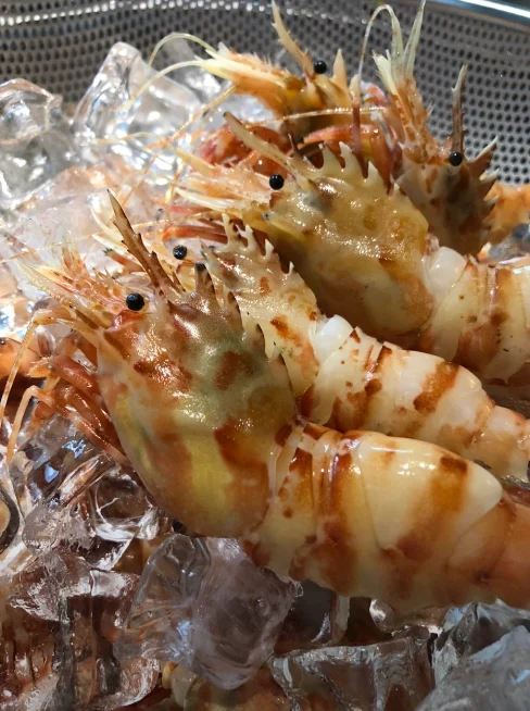 을지로보석