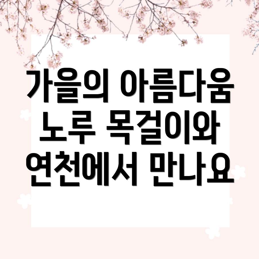 연천 댑싸리공원