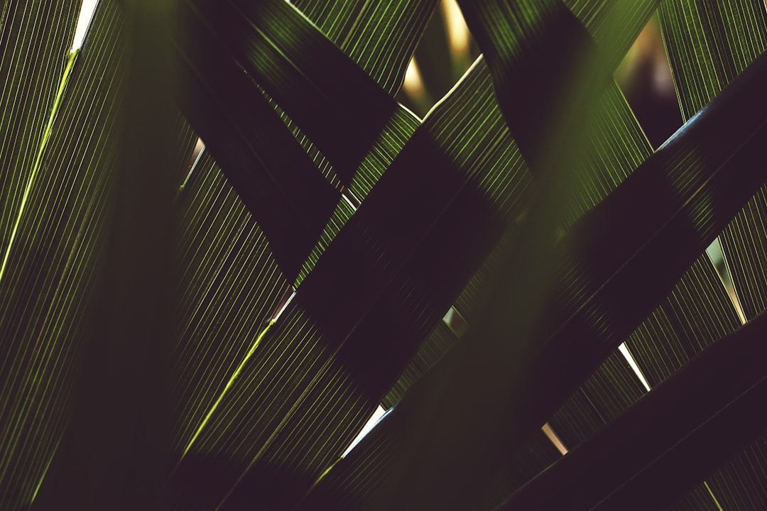 Fraction.