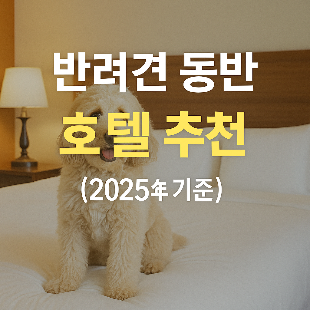 🐶 반려견 동반 호텔 추천 BEST 7 (2025년 기준)
