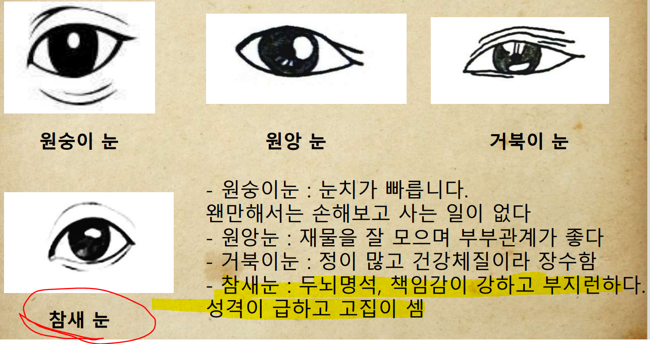  회사자료: 관상보는 방법 = 은근 재미있음 + 인터넷에 없는 내용