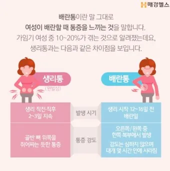 배란통 증상 및 시기 원인_2