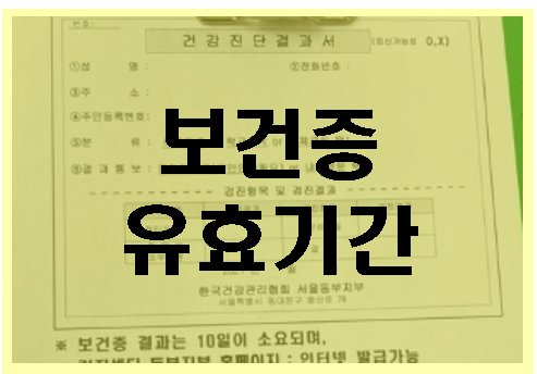  보건증 유효기간 비용