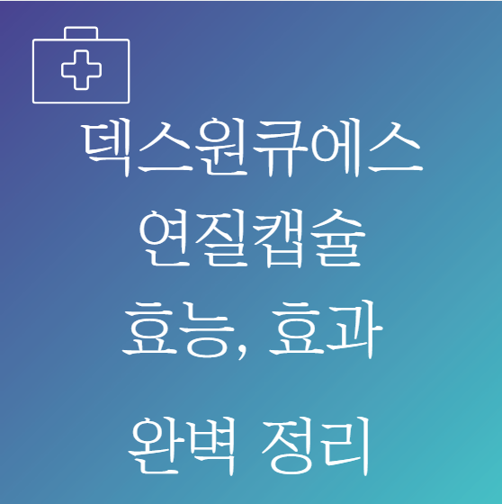 덱스원큐 에스 연질캡슐