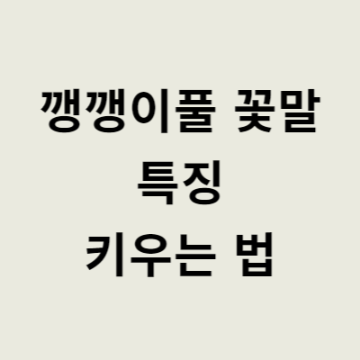 깽깽이풀 꽃말 특징 키우는 법