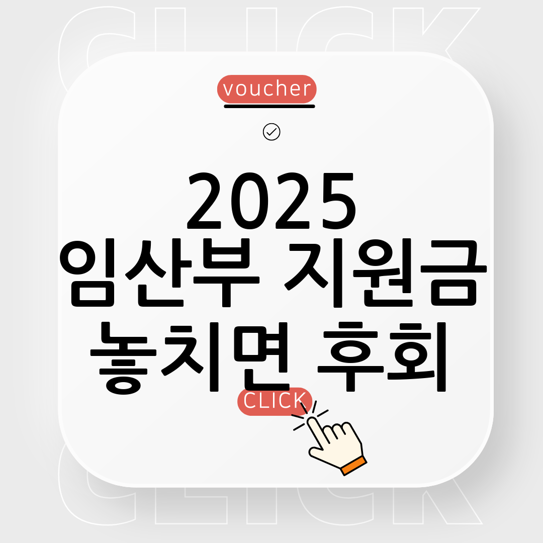 임산부 지원금