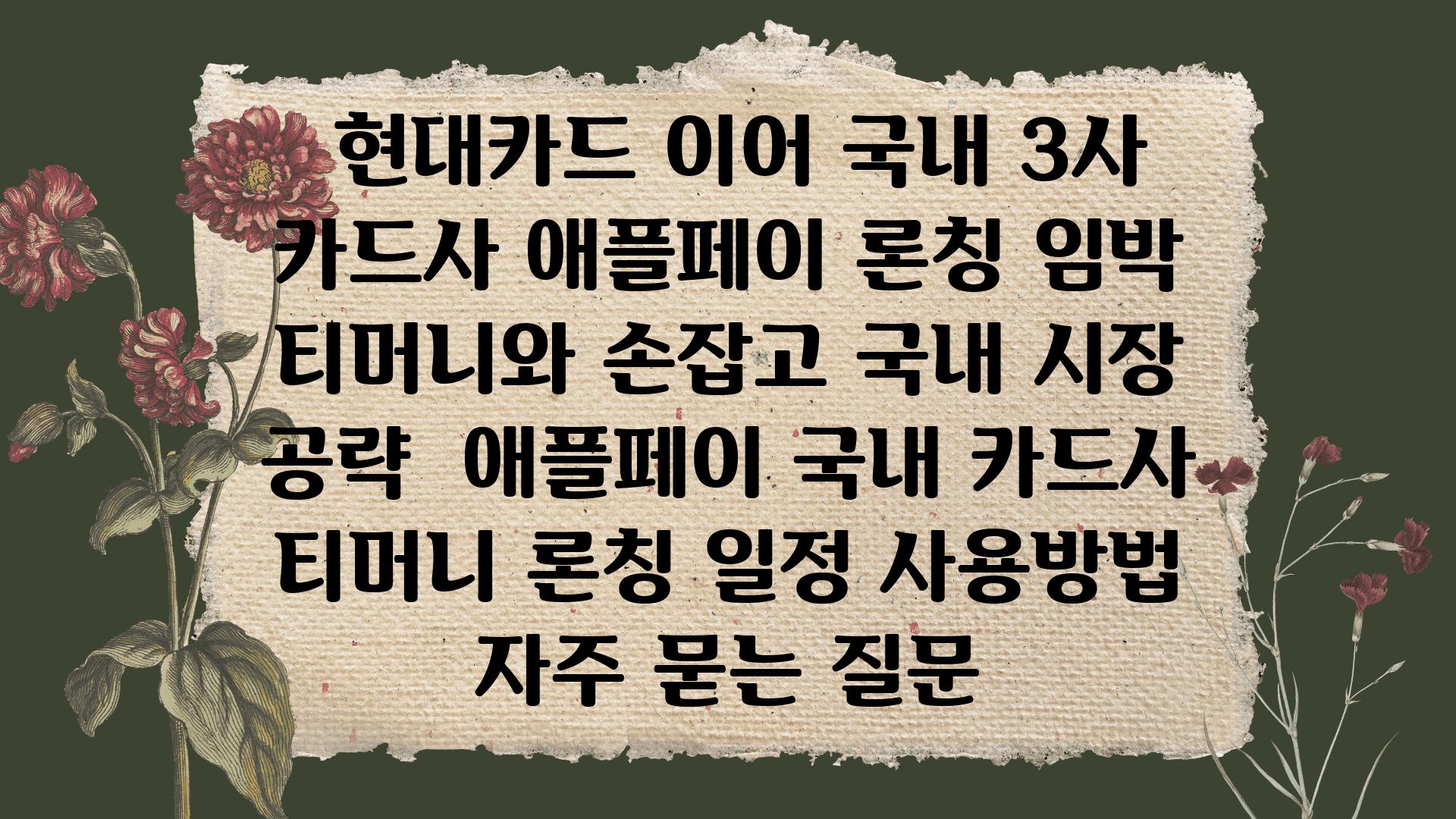  현대카드 이어 국내 3사 카드사 애플페이 론칭 임박 티머니와 손잡고 국내 시장 공략  애플페이 국내 카드사 티머니 론칭 일정 사용방법 자주 묻는 질문