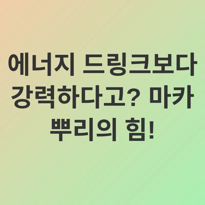 마카 뿌리 효능_1