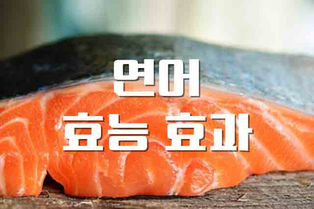  연어, DHA와 EPA가 풍부한 연어 효능