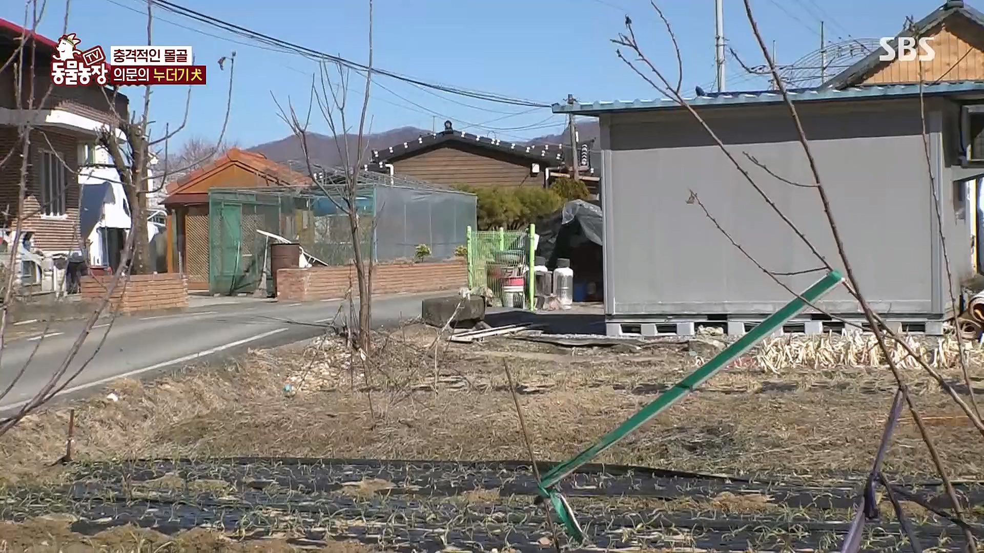 TV 동물농장.E1113.230326p.H264-F1RST.mp4_20230326_172513.071.jpg