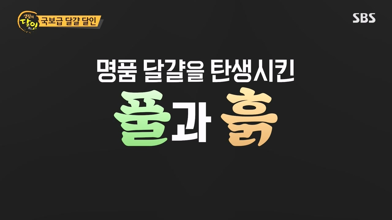 생활의 달인.E934.240507p-NEXT.mp4_20240507_193524.303.jpg
