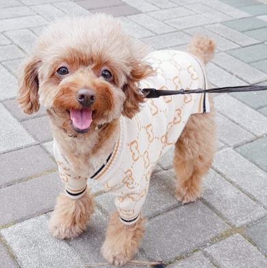  왜 강아지가 산책할 때 냄새를 맡을까요?
