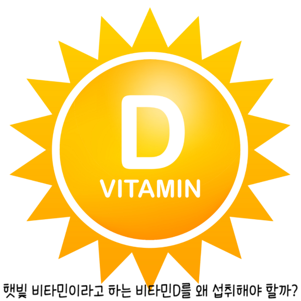 비타민D3-햇빛비타민